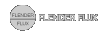 FLENDER FLUX